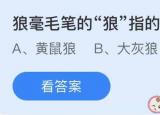今日更新狼毫毛笔的狼是指!（狼毫毛笔的狼指的是什么狼黄鼠狼!）