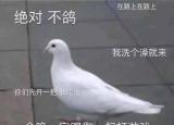 今日更新员工定位管理软件（员工定位管理）