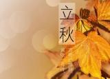 今日更新立秋诗词（邂逅最美立秋诗词）