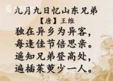 今日更新九月初九是什么节日 （又是一年重阳节将至）