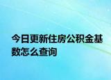 今日更新住房公积金基数怎么查询