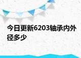 今日更新6203轴承内外径多少