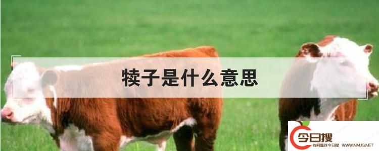 犊子是什么意思