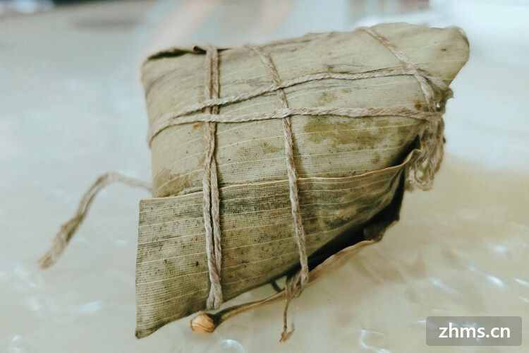 粽子的由来和传说?来历？粽子的历史变迁是怎样的？