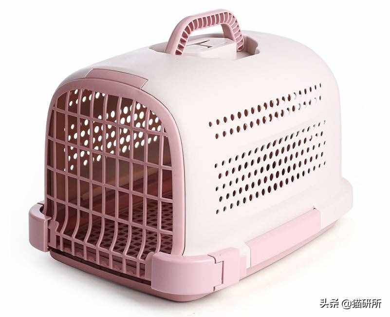 铲屎官必备：7大航空公司猫咪托运攻略