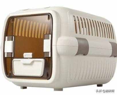 铲屎官必备：7大航空公司猫咪托运攻略