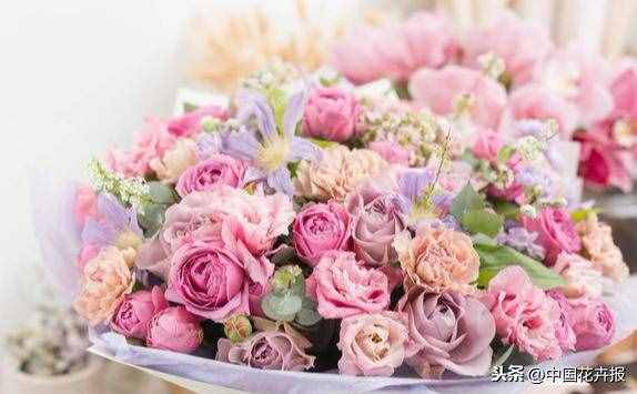 总送鲜花谁不腻？其实教师节还可以送这些花