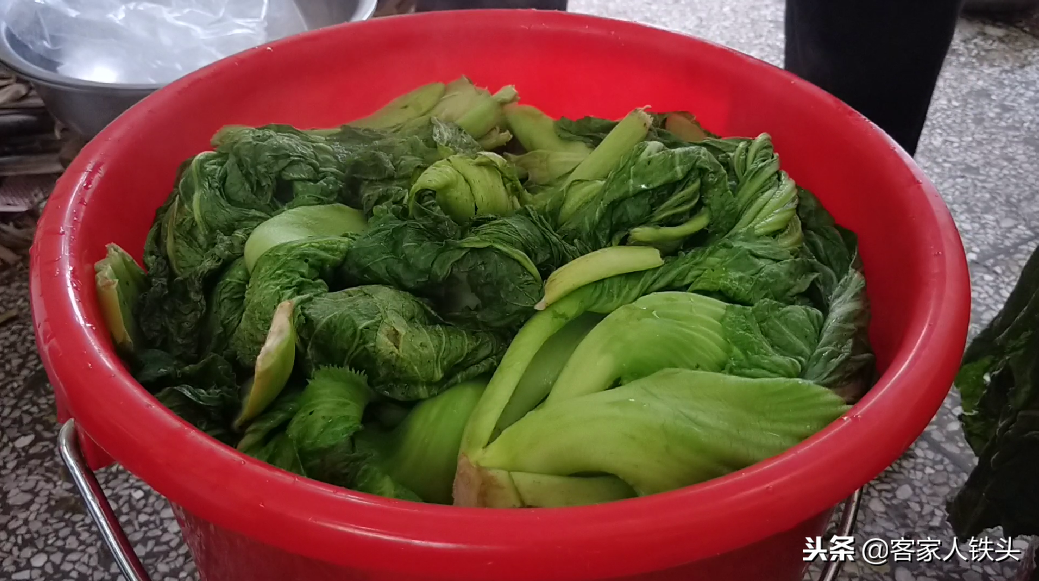 农家自制的菜干为什么好吃?重要的是这2点,菜干自制全过程