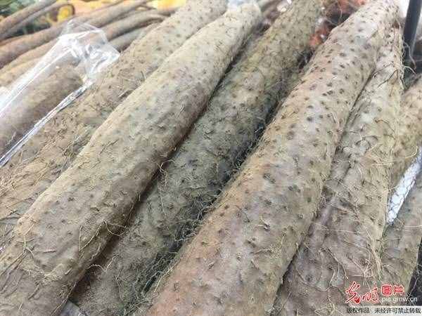 为什么山药能健脾养胃？2种山药做法改善积食、消化不良