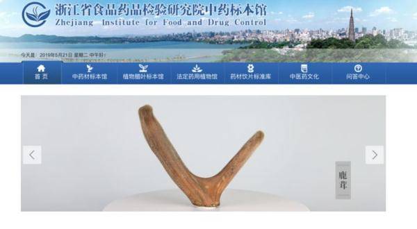 收藏这个网站 以后买中药再也不怕识不出真假了