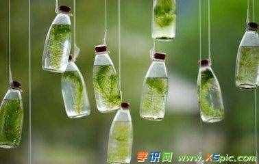 寄托的近义词是什么及造句