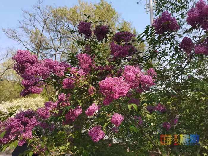 五一去哪玩？北京丰台北宫森林公园，不是江南胜似江南！