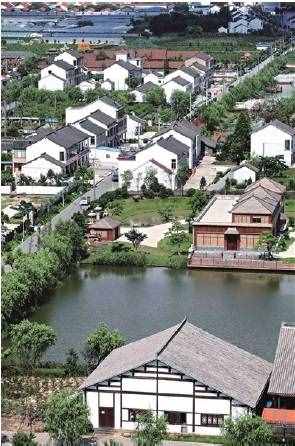你知道吗，上海从前是“仙鹤之乡”