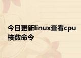 今日更新linux查看cpu核数命令