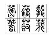 今日更新藕是莲的（藕是荷花的根吗）