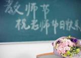 今日更新教师节给老师送什么花（总送鲜花谁不腻）