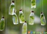 今日更新寄托的近义词（寄托的近义词是什么及造句）