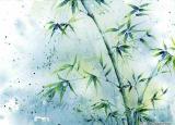 今日更新竹子的品质（为什么古代文人喜欢竹子）