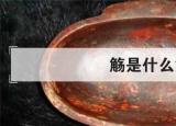 今日更新觞是什么意思（觞）