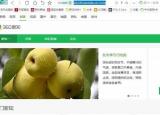 今日更新下载网页（下载网页有什么）