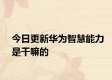 今日更新华为智慧能力是干嘛的