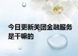 今日更新美团金融服务是干嘛的