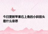 今日更新苹果右上角的小斜箭头是什么意思
