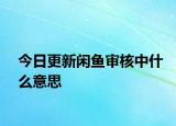 今日更新闲鱼审核中什么意思