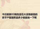 今日更新﻿﻿现在蓝石大溪地楼盘的房子户型面积是多少谁能说一下呢