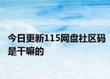 今日更新115网盘社区码是干嘛的