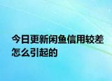今日更新闲鱼信用较差怎么引起的