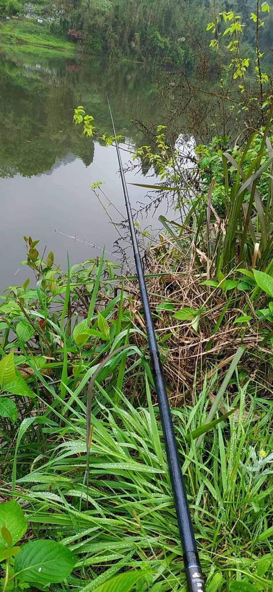 夏季如何垂钓？做到这几点，收获满满