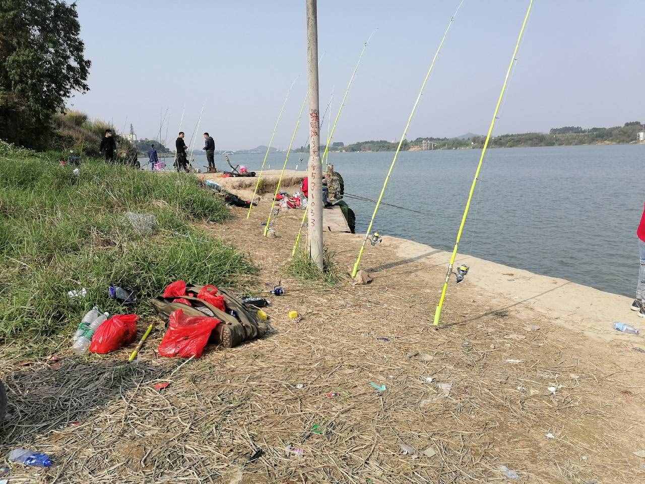 夏季如何垂钓？做到这几点，收获满满