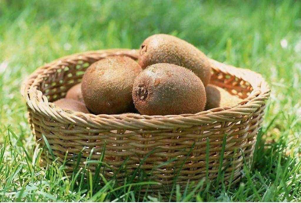 高血压吃什么好？试试降压效果最好的六种食物