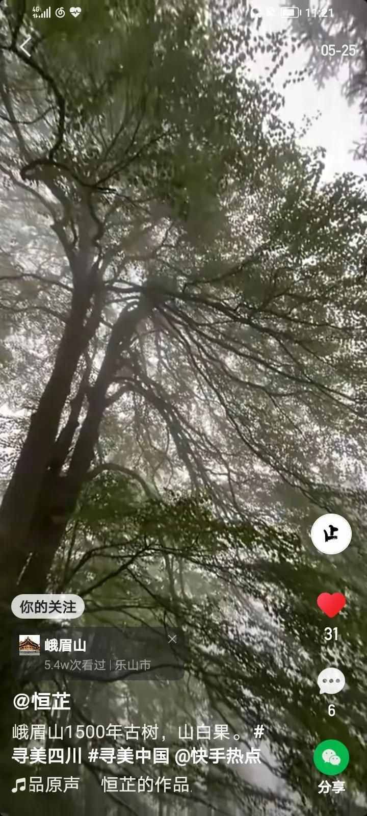 我的自我修行之路
