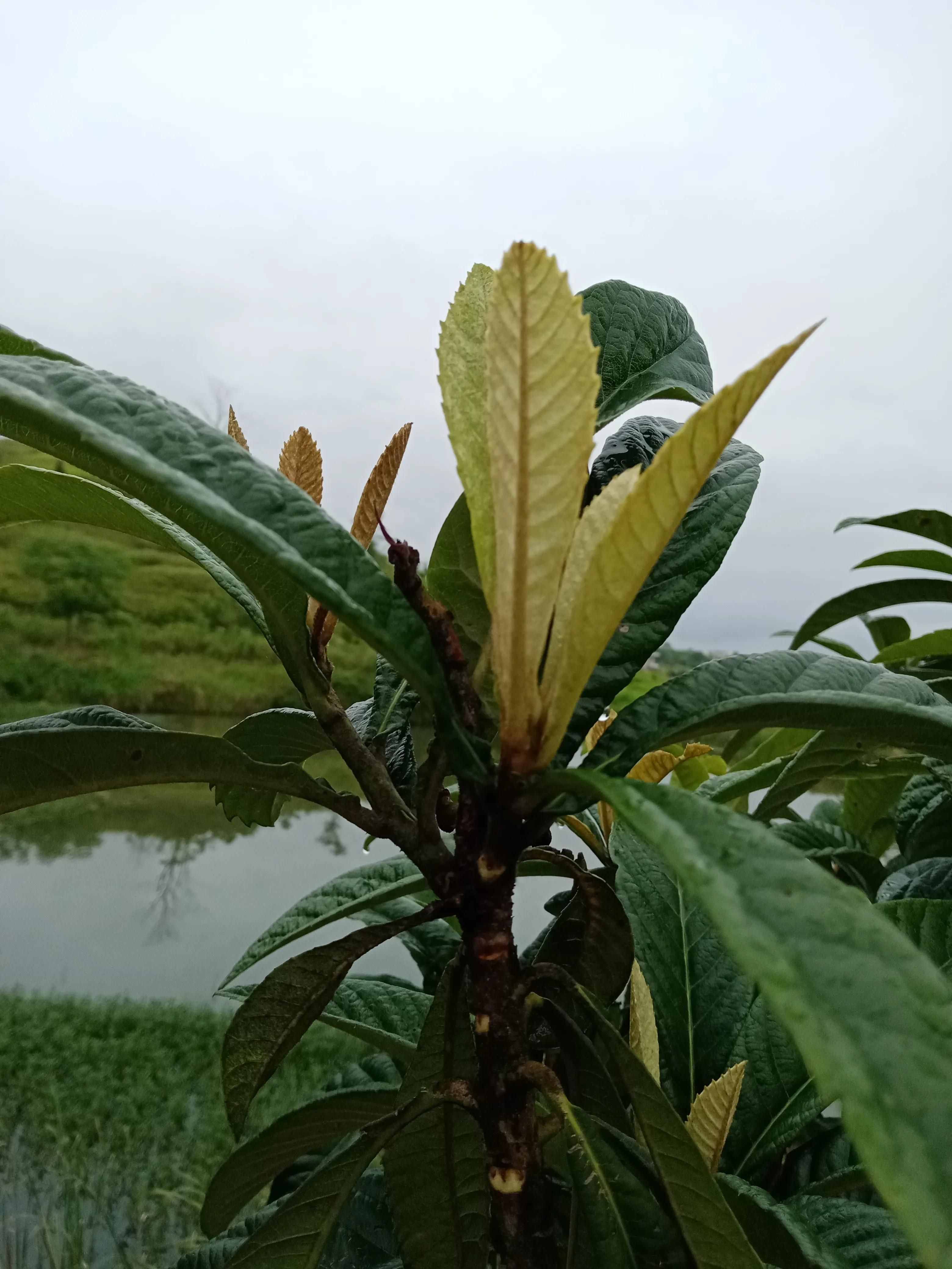 我的自我修行之路