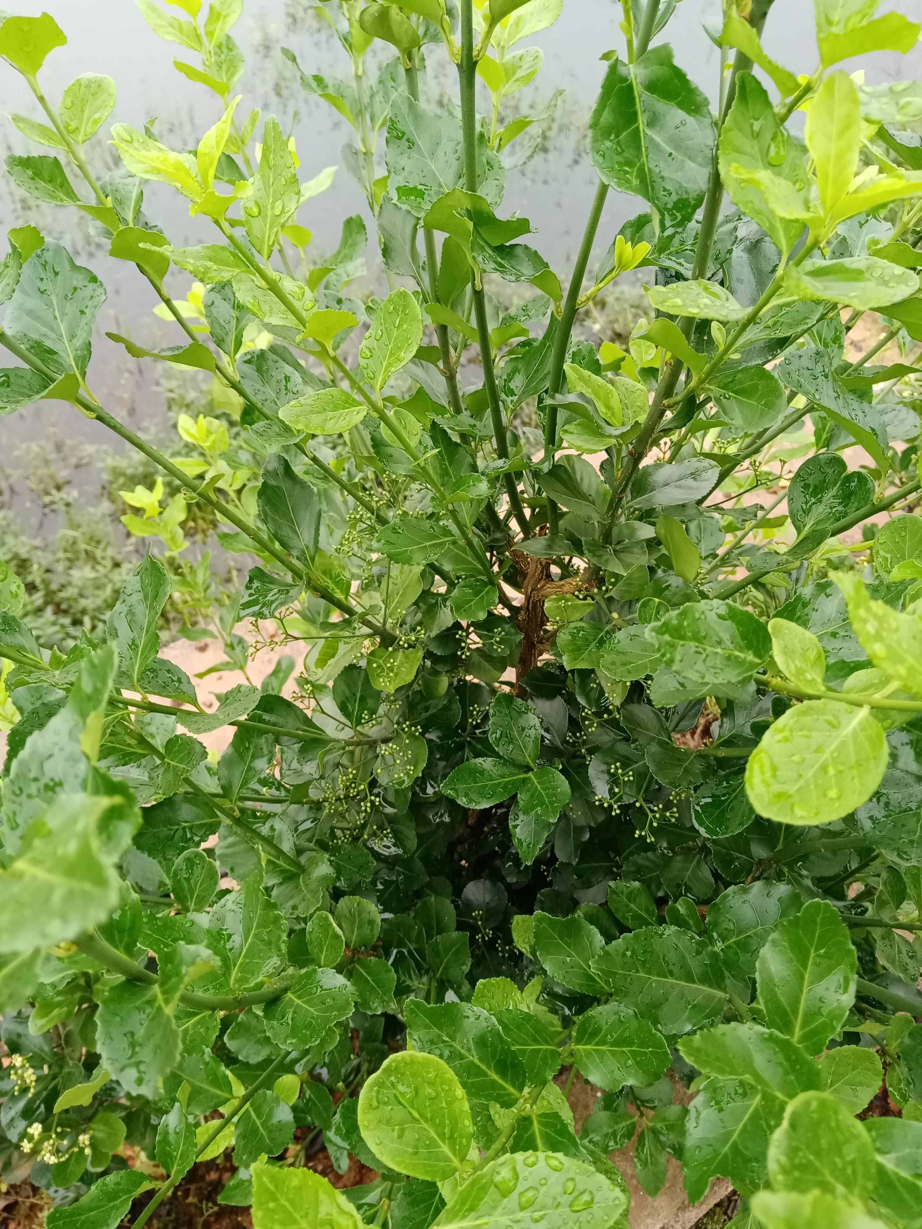 我的自我修行之路