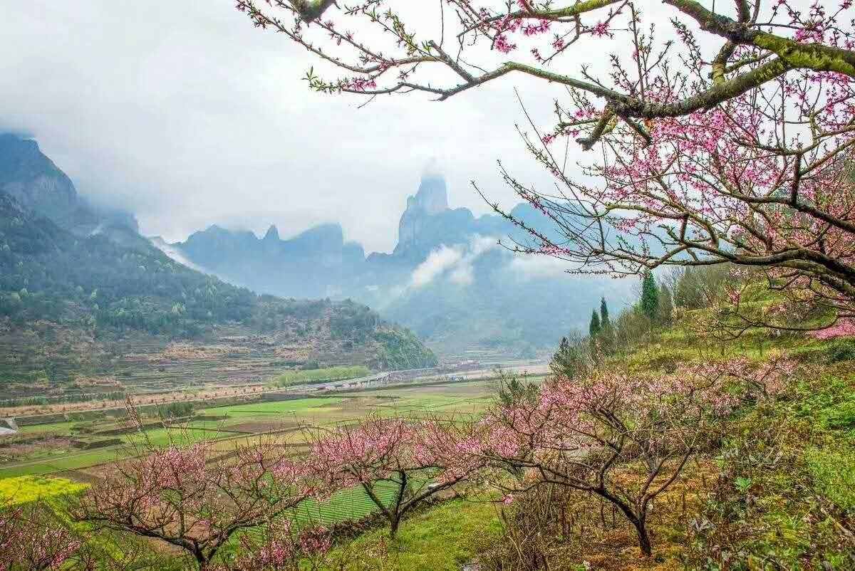春天来了(现代诗)