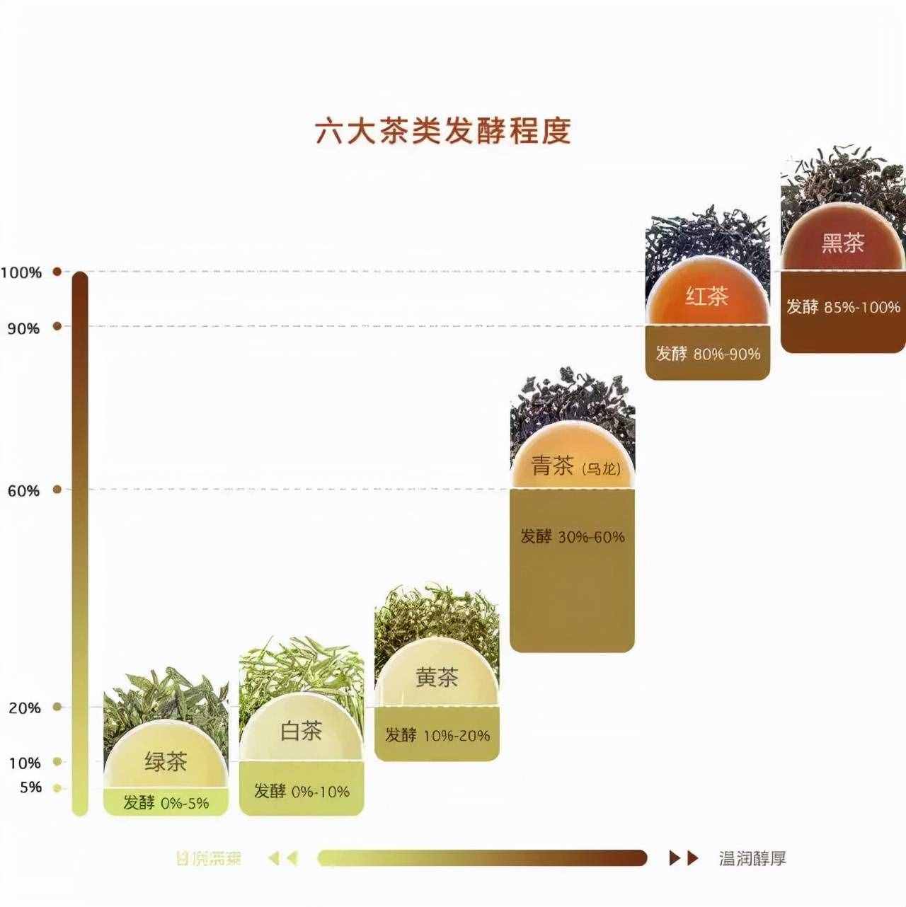 搞懂茶叶没那么难，最全纯干货茶知识
