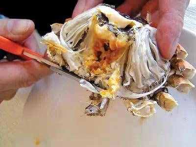 史上最全螃蟹吃法，做法大集合，大闸蟹分析的够透彻