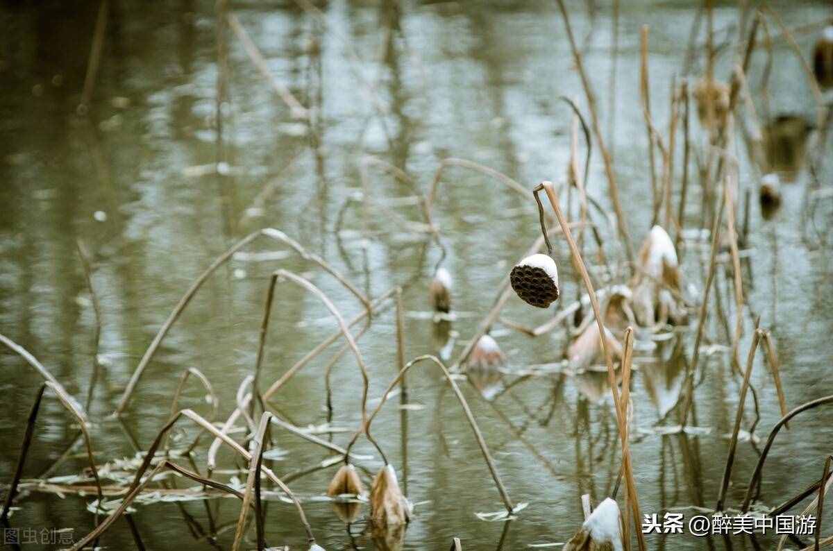 探访南海大湿地公园，体验新西兰土著风情的三大岛区，适合亲子游