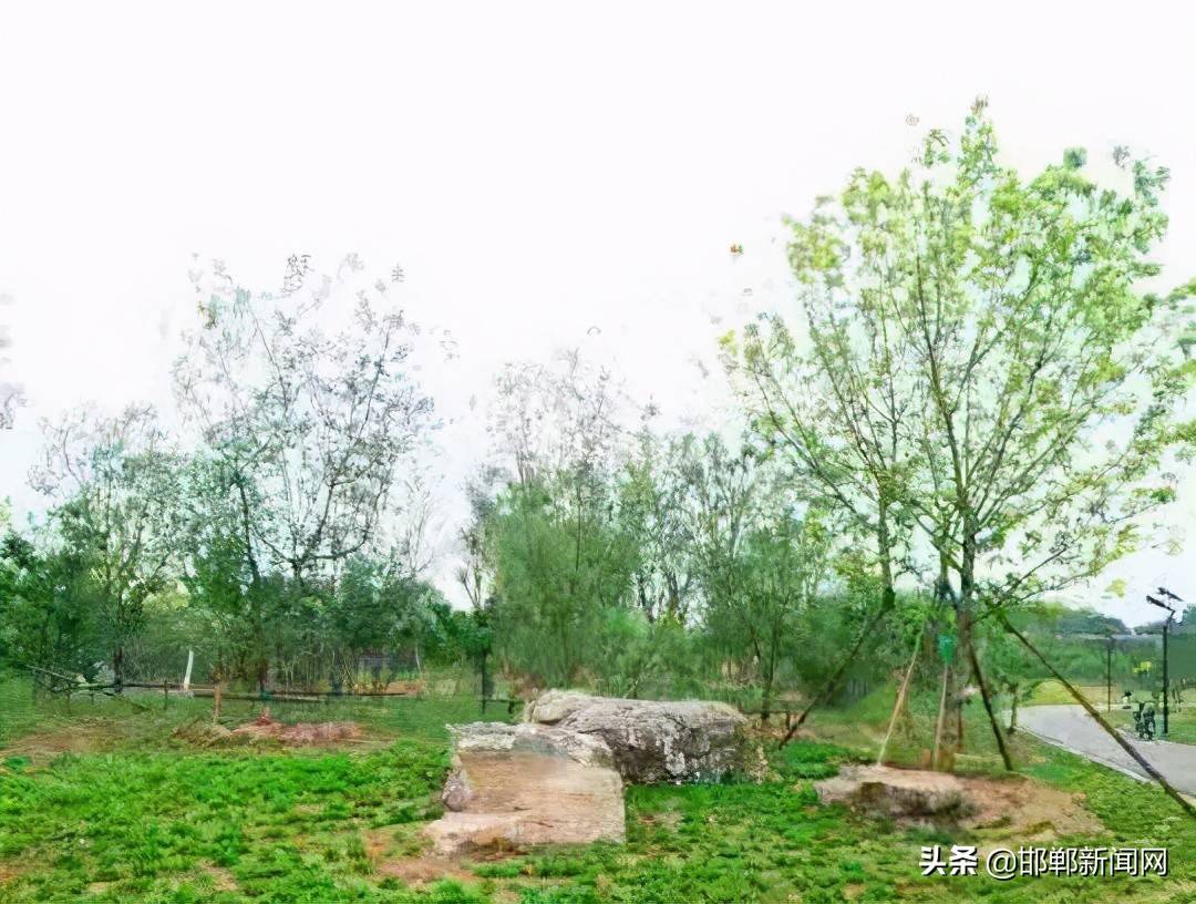 复兴区又多了一个免费好去处
