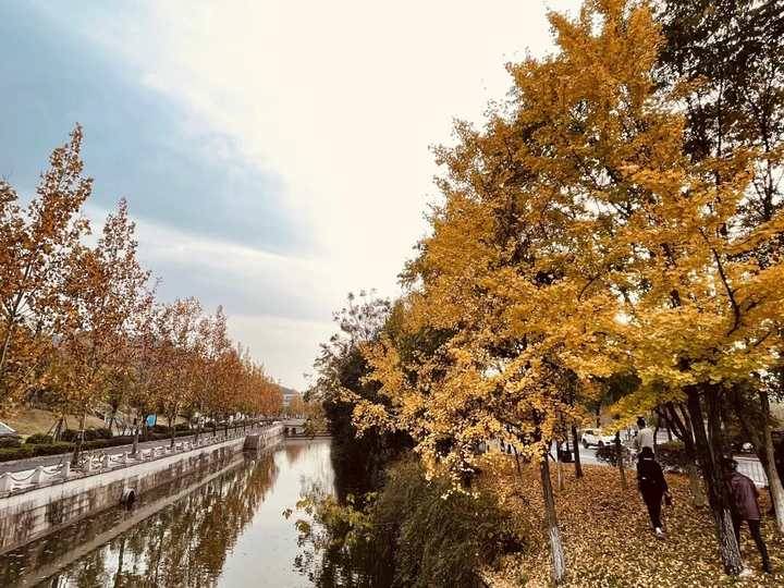 太美了!杭州湘湖赏秋拍摄路线大揭秘,还有出片小心机分享