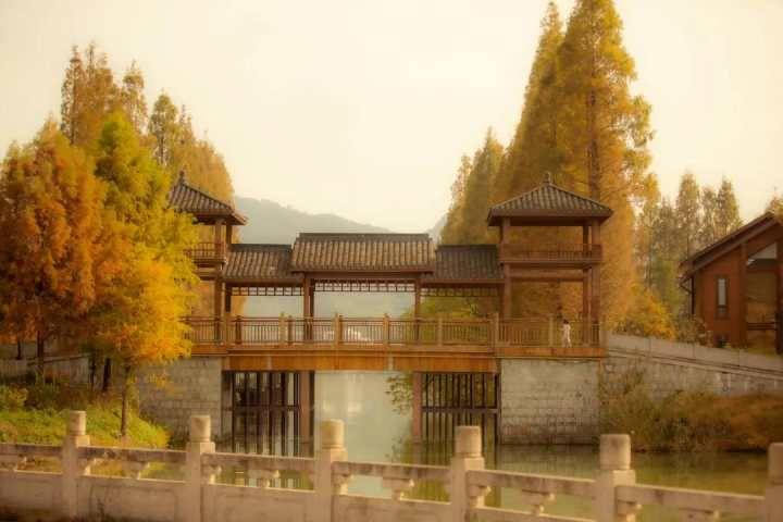 太美了!杭州湘湖赏秋拍摄路线大揭秘,还有出片小心机分享