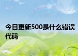 今日更新500是什么错误代码