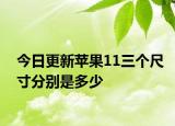 今日更新苹果11三个尺寸分别是多少