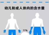 今日更新人体含量最多的元素（详解人体含量最多的营养素）
