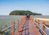 今日更新海陵岛在哪里（海陵岛）