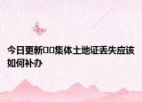 今日更新﻿﻿集体土地证丢失应该如何补办