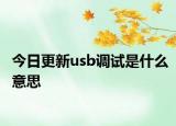 今日更新usb调试是什么意思